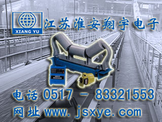 電子皮帶秤,電子皮帶秤廠家,皮帶秤廠家,輸送機(jī)皮帶秤,XYBCS