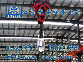 安徽新顯通無(wú)線儀表控制電子吊秤 - 江蘇淮安翔宇電子吊秤廠家案例