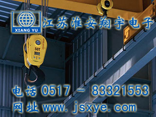 起重限制保護(hù)系統(tǒng)廠家江蘇淮安翔宇電子測(cè)控自動(dòng)化起重機(jī)超載限制器 起重超載限制器保護(hù)系統(tǒng)安全可靠堅(jiān)固耐用 更多起重機(jī)起重限制器就在www.dtpuw.cn 電話0517-83321553