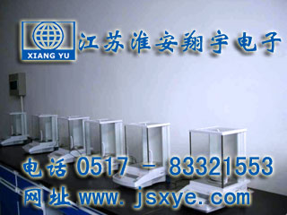 威特藥業(yè)采購12臺(tái)江蘇淮安翔宇電子天平廠家高精度分析天平