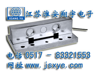 軌道傳感器,軌道稱重傳感器,軌道傳感器廠家,軌道稱重傳感器廠家,XYWS-TR